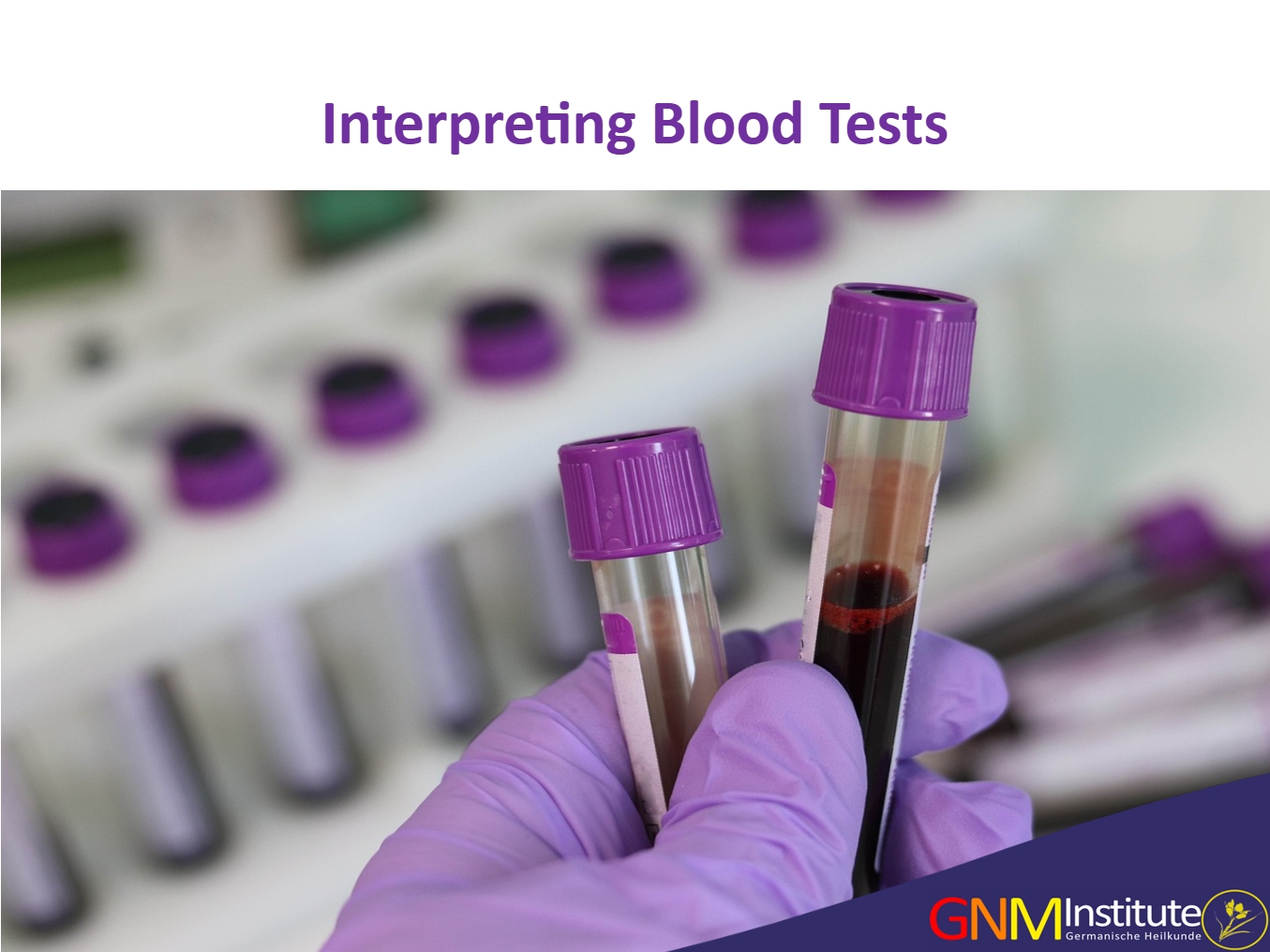 CEU Header Slides5 Ceu Header Slides5